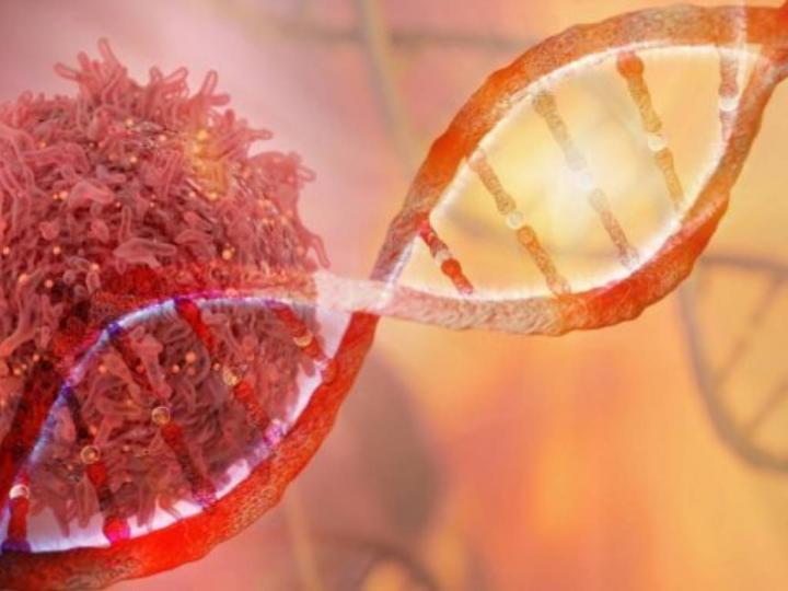 İnsan Vücudundaki Bir Hücre Nasıl Kansere Dönüşür?