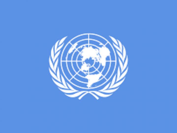 Birleşmiş Milletler ve Cinsiyet Eşitliği