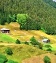 Karadeniz Bölgesi
