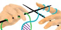 Epigenetik