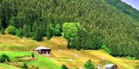 Karadeniz Bölgesi