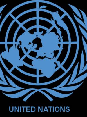 Birleşmiş Milletler